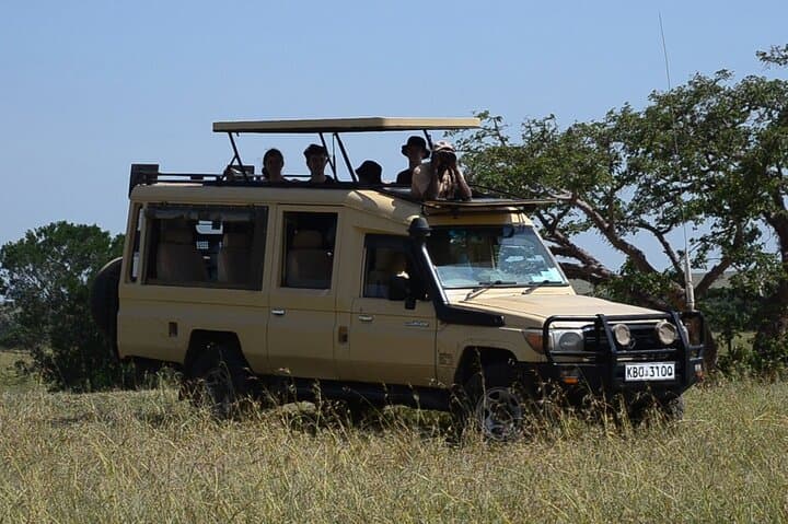 Nairobi Park Wildlife Safari: Urban Wilderness Encounter on Kenya’s Edge
