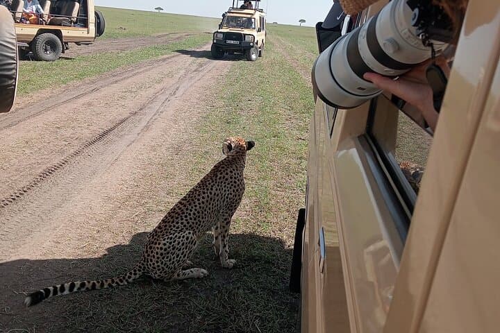 Nairobi Park Wildlife Safari: Urban Wilderness Encounter on Kenya’s Edge photo 3
