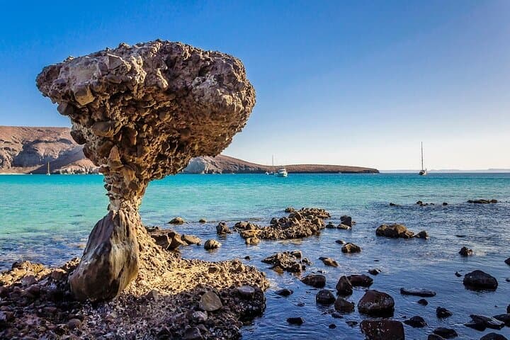 Balandra, La Paz & Todos Santos Day Trip from Cabo — Beaches, Viewpoints & Hotel California photo 4