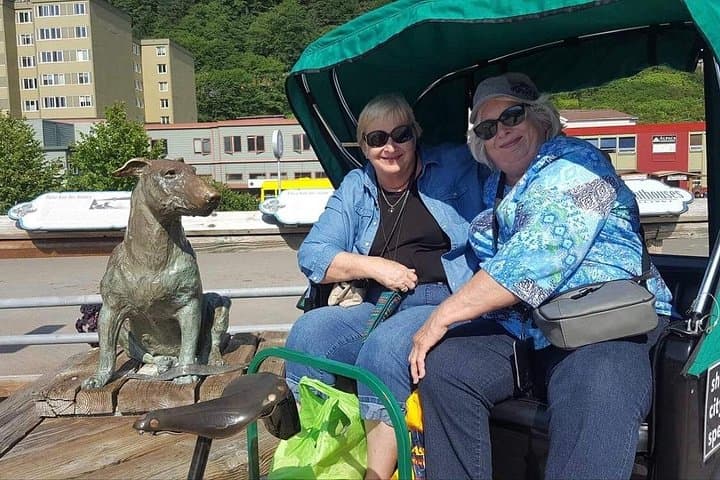 Juneau Pedicab Private Tour — One-Hour Downtown Seawalk & Cultural Ride photo 4