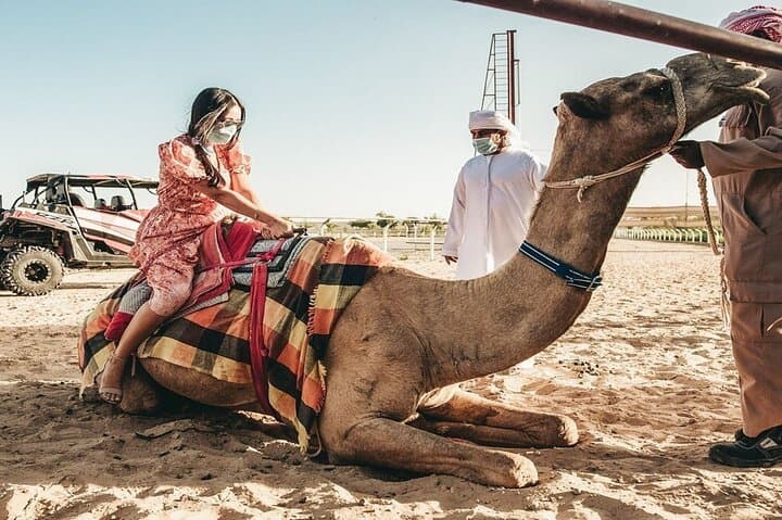 Dubai Royal Camel Race — VIP Seats, Feeding & Short Camel Ride photo 6