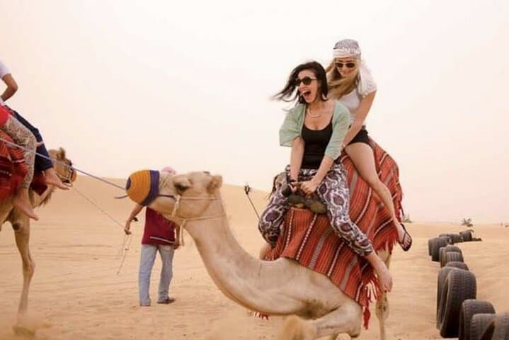 Dubai Royal Camel Race — VIP Seats, Feeding & Short Camel Ride photo 4