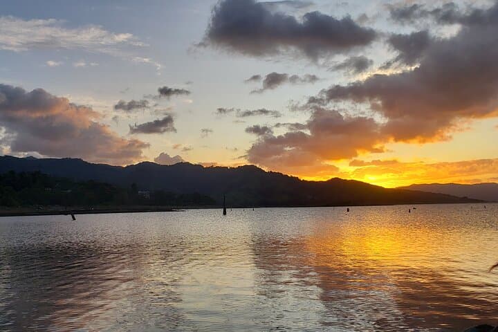 Women-Led Kayaking on Lake Arenal: Wildlife, Volcano Views, and Personalized Tours photo 3