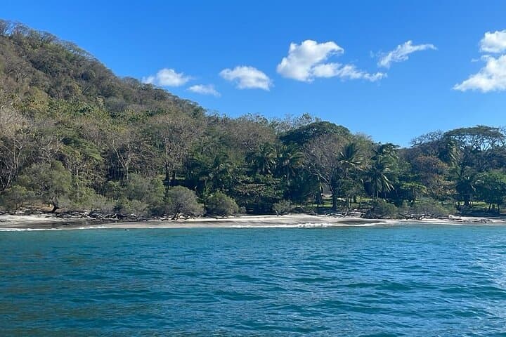 Private Morning Catamaran Cruise Along Tamarindo's Pacific Coast photo 2