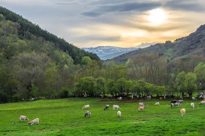 Cerdanya Private Day Tour: Puigcerdà, Villefranche-de-Conflent & Llívia from Barcelona