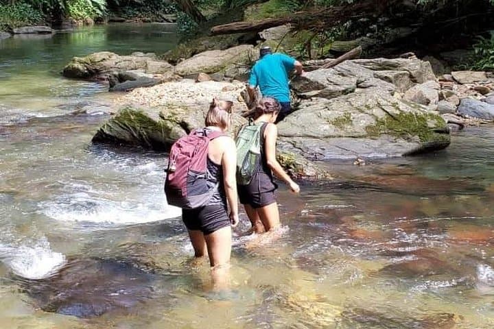 Avocat Waterfall and Maracas Bay: Hike, Plunge and Bake-and-Shark photo 1