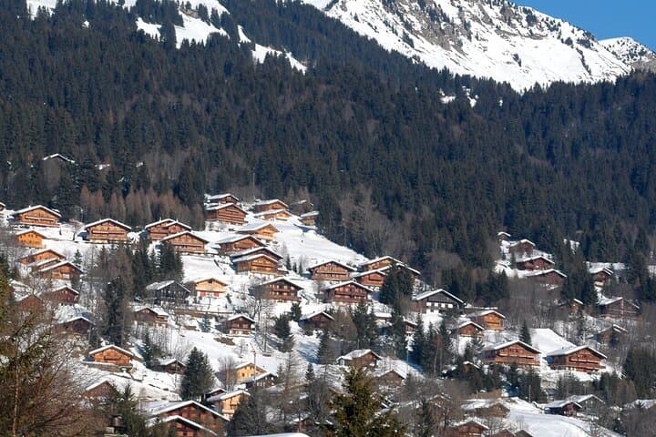 Private Tour to Les Diablerets and Montreux: Glacier 3000, Lavaux & Château de Chillon
