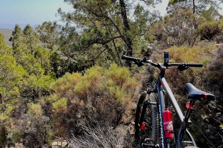 Taghazout Trails: 4-Hour Guided Bike Tour Along Morocco's Atlantic Cliffs photo 6