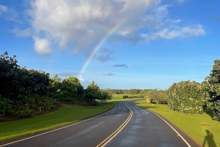 Poipu and Koloa E-Bike Scenic Tour — 14-Mile South Shore Ride on Kauai photo 6