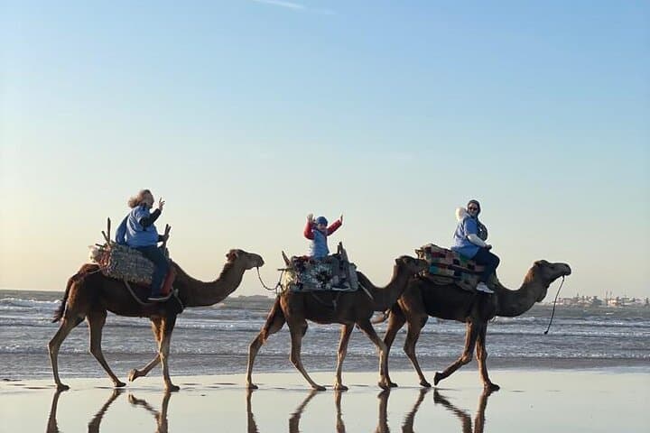 Essaouira Camel or Quad Adventure: Coastal Ride with Pickup photo 4