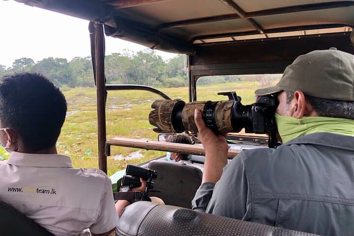 Wilpattu Half-Day Safari: Leopards, Sloth Bears & Birding in Sri Lanka