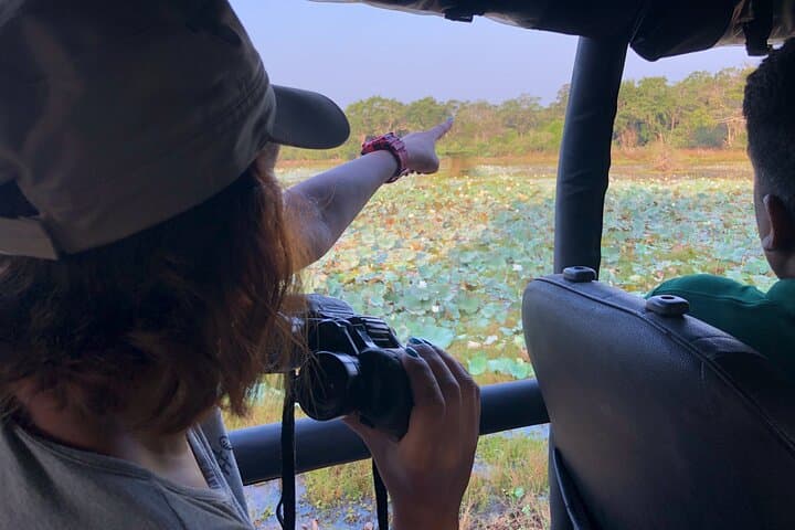 Wilpattu Half-Day Safari: Leopards, Sloth Bears & Birding in Sri Lanka photo 5