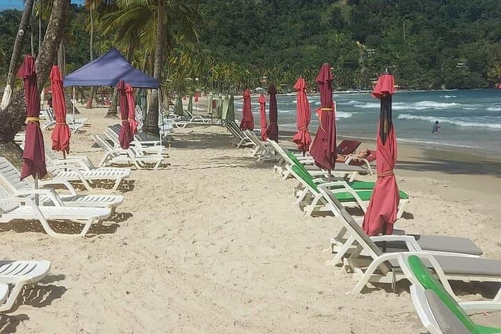 Maracas Beach Tour: Northern Range Drive, Lookout & Bake-and-Shark Experience photo 2