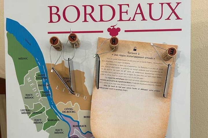 Wine Gaming at Chateau Lamothe — Bordeaux Team Oenology Challenge photo 6