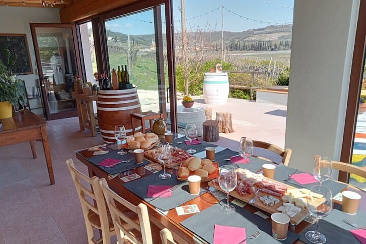 Verona Natural Wine Cellar Tour & Tasting in San Martino Buon Albergo