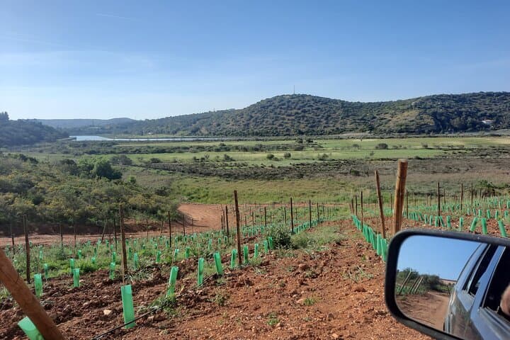 Algarve Jeep Half-Day: Coastal Cliffs, River Arade & Silves Castle photo 5