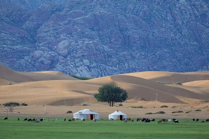 Semi-Gobi Sand Dunes & Kharkhorum Overnight: Camel Rides, Monasteries and Nomadic Life photo 3