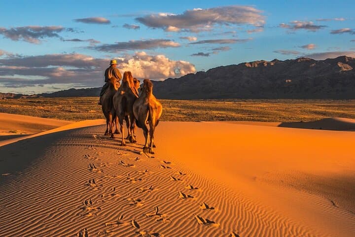 Semi-Gobi Sand Dunes & Kharkhorum Overnight: Camel Rides, Monasteries and Nomadic Life