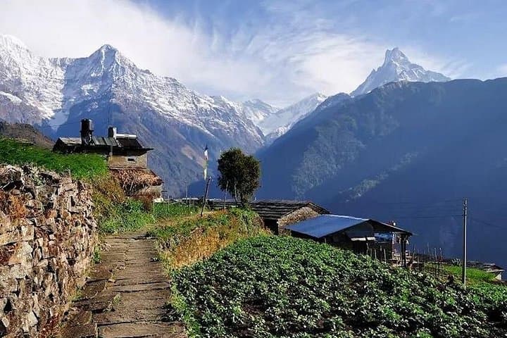 Ghandruk Trek from Pokhara — Family-Friendly 3-Day Annapurna Trek photo 1