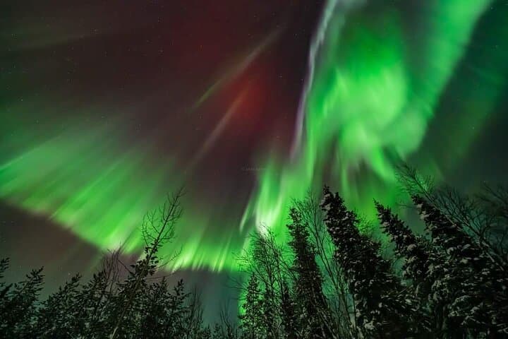 Rovaniemi Private Northern Lights Hunt: Small-Group Aurora Photo Tour photo 3