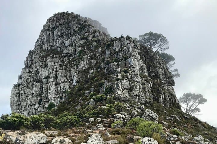 Lion's Head Sunrise Hike: Half-Day Cape Town Hike with 360° Views photo 5