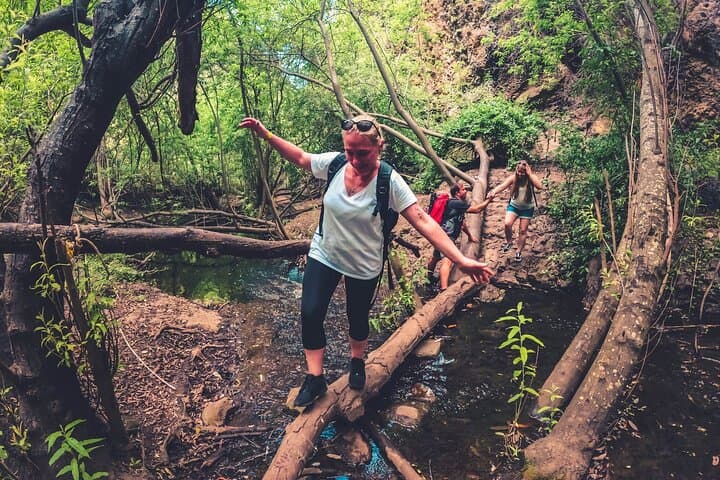 Gran Canaria Rainforest Day Tour: Azuaje Ravine Hike, Eco-Farm Tasting & El Puertillo Pools photo 3