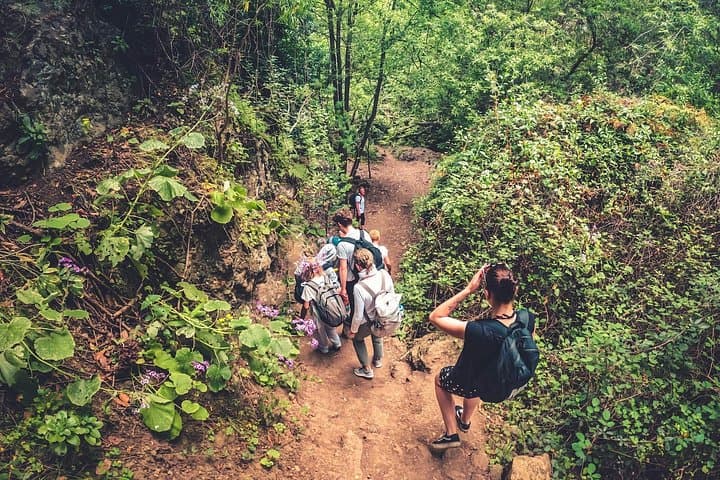 Gran Canaria Rainforest Day Tour: Azuaje Ravine Hike, Eco-Farm Tasting & El Puertillo Pools photo 4