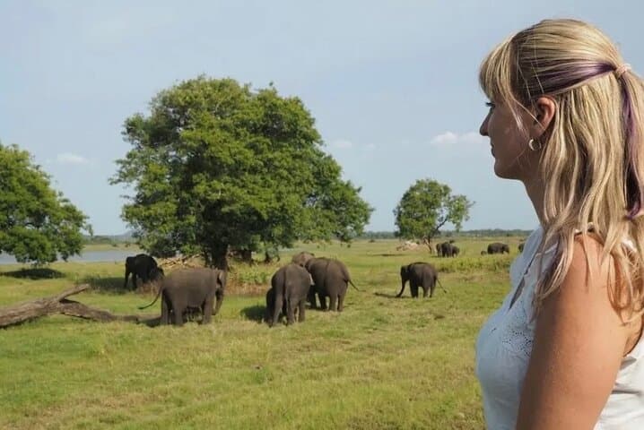 Sigiriya and Kaudulla Safari: Private Day Tour from Trincomalee
