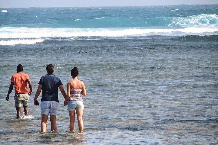Shark Bay & Pedra de Lume Salt Crater — 3-Hour Shark Encounter and Float in Sal, Cape Verde photo 2