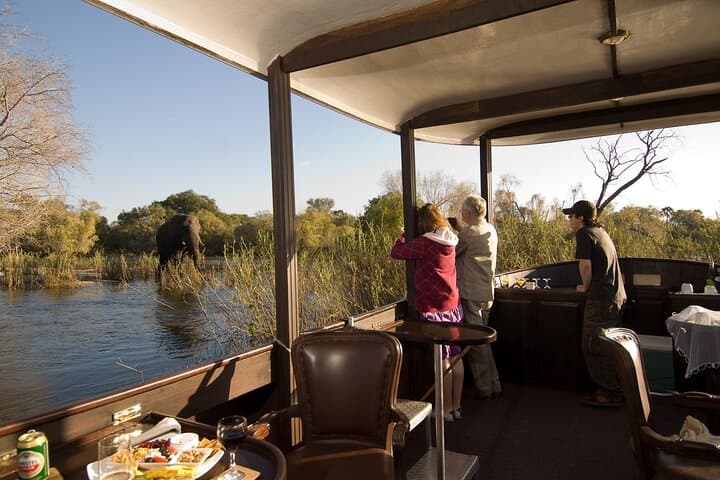 8-Day Uganda Gorilla & Primate Safari — Bwindi Gorillas, Kibale Chimps & Queen Elizabeth photo 4