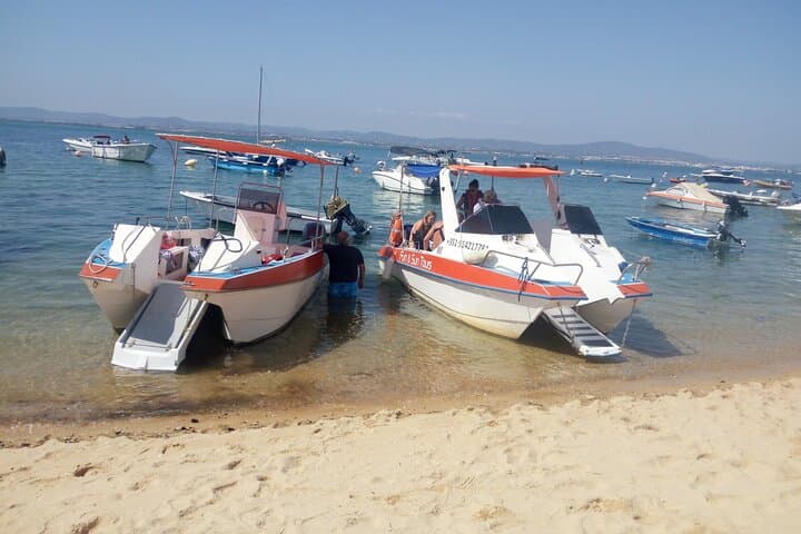 Ria Formosa Boat Tour: Ilha da Culatra & Deserted Beach Escape (3 Hours) photo 6