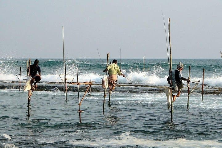 Galle Day Tour from Colombo: Turtles, Forts & Stilt Fishermen photo 2