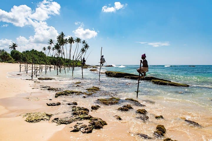 Galle Day Tour from Colombo: Turtles, Forts & Stilt Fishermen photo 1