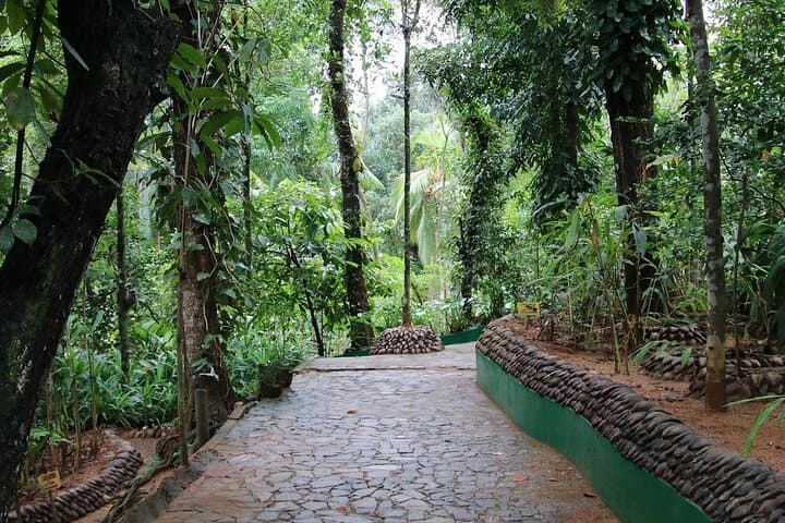 Private Kandy Day Tour from Colombo: Spice Gardens, Tea Factory & Sacred Tooth Temple photo 3