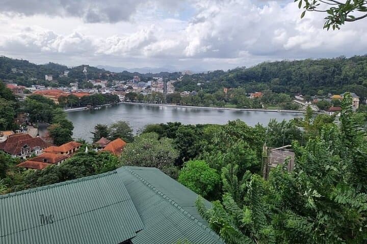 Private Kandy Day Tour from Colombo: Spice Gardens, Tea Factory & Sacred Tooth Temple photo 5