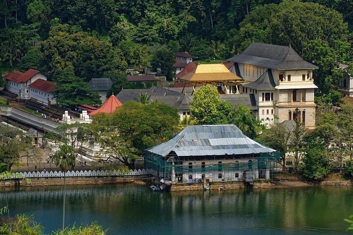 Private Kandy Day Tour from Colombo: Spice Gardens, Tea Factory & Sacred Tooth Temple photo 6