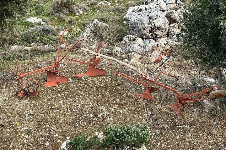Crete in a Day: Knossos, Olive Oil Tasting & Winery Tour from Heraklion photo 4