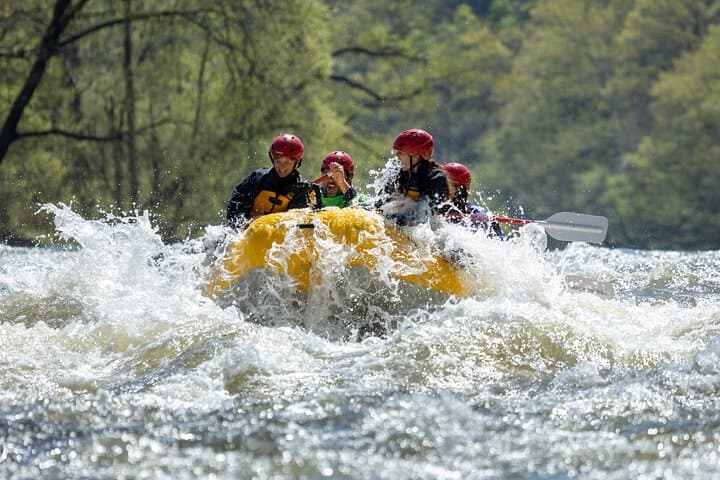 French Broad Gorge (Section 9) Whitewater Rafting — Asheville Day Trip photo 4