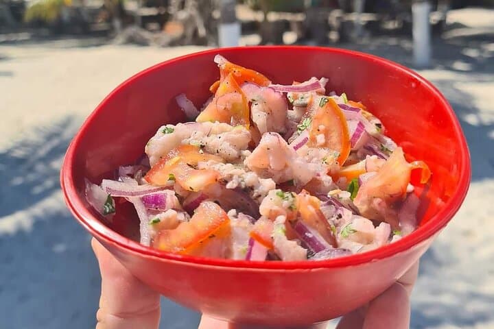 Exploring Cabo Catoche: A 5-Hour Adventure of Fishing, Snorkeling, and Coastal Flavors photo 3