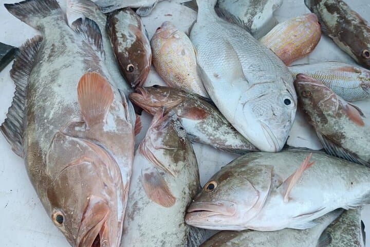 Exploring Cabo Catoche: A 5-Hour Adventure of Fishing, Snorkeling, and Coastal Flavors photo 5
