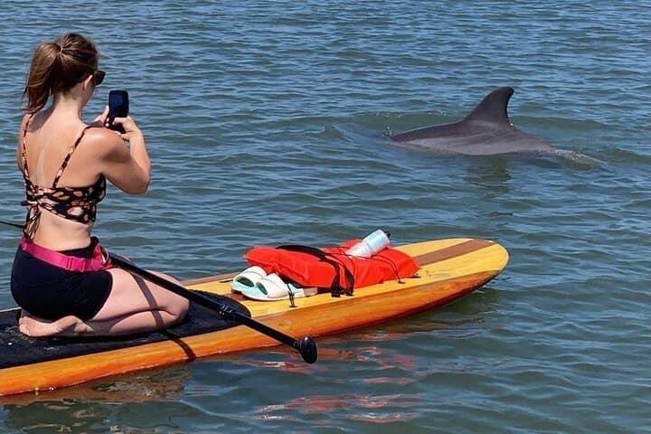 SUP in Rotonda West, Florida