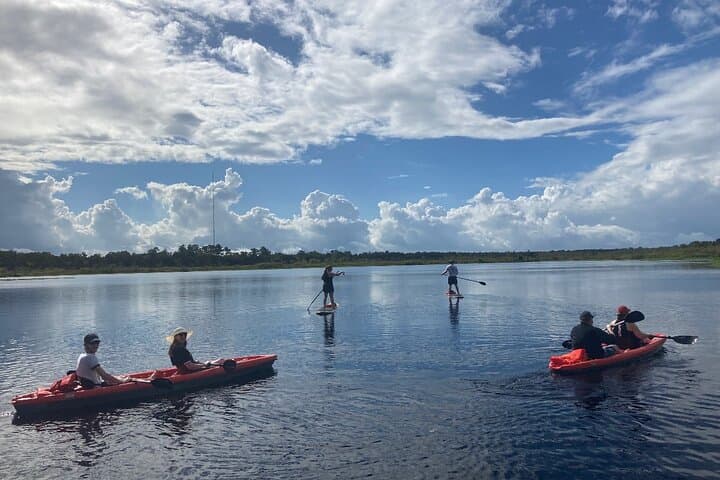 Dolphin & Manatee Kayak Tour in Osprey — Little Sarasota Bay Wildlife Paddle photo 3