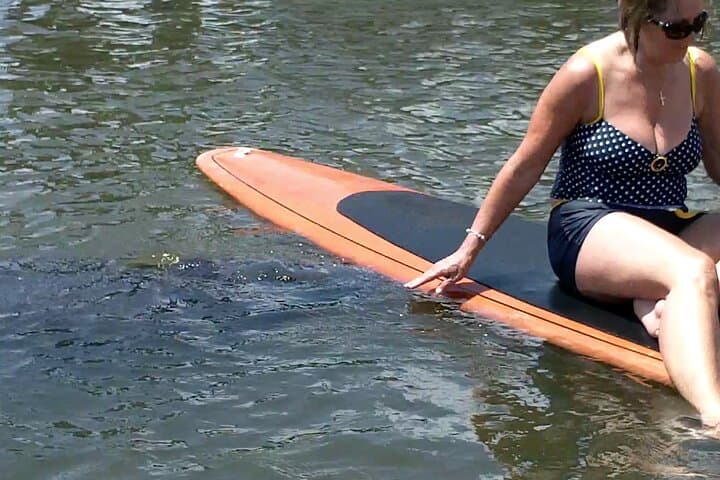 Dolphin & Manatee Kayak Tour in Osprey — Little Sarasota Bay Wildlife Paddle photo 4