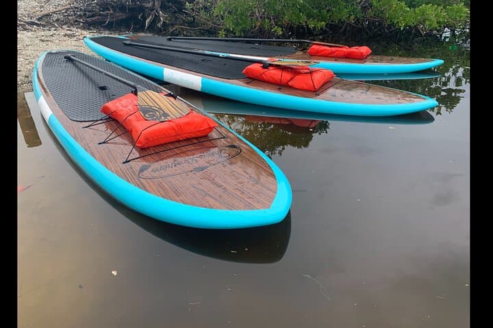 Dolphin & Manatee Kayak Tour in Osprey — Little Sarasota Bay Wildlife Paddle photo 6
