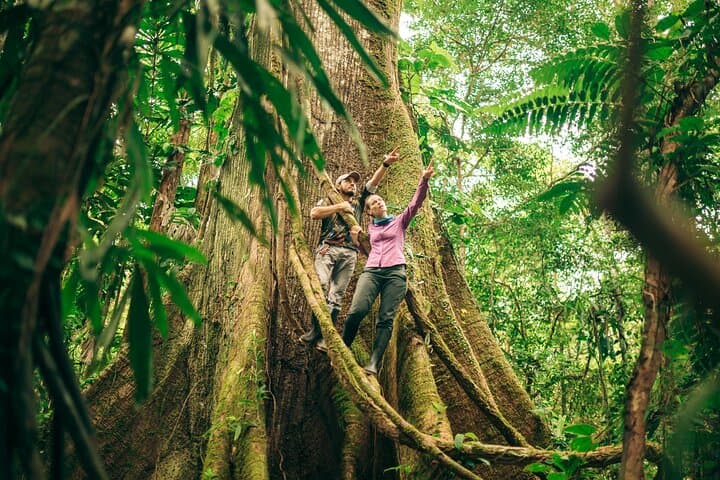 4-Day Cuyabeno Amazon Experience at Waita Lodge — Canoes, Wildlife & Community-Based Ecotourism photo 2