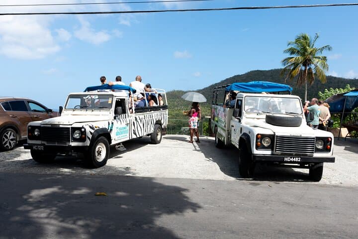 Soufriere Volcano Experience: Drive-In Volcano, Mud Baths & Waterfalls photo 5