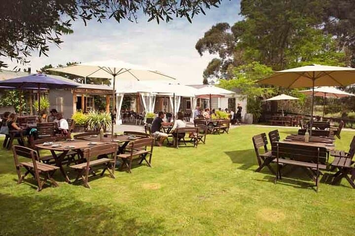 Waipara Wine Tour from Lyttelton: Half-Day Tastings and Winery Lunch photo 3