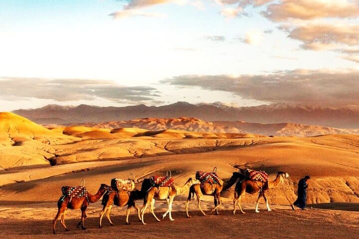 Agafay Desert Sunset: Quad Bike Safari, Camel Ride & Desert Dinner Near Marrakech