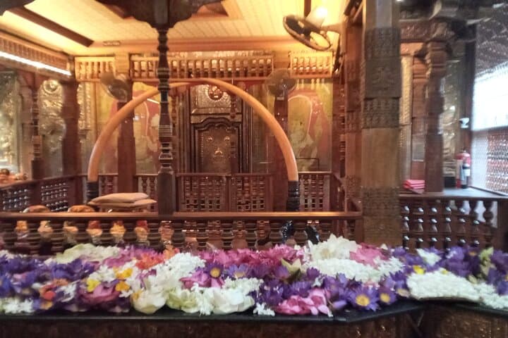 Pinnawala Private Day Trip from Colombo or Negombo — Elephants, Temples & Tea Factory Visit photo 3