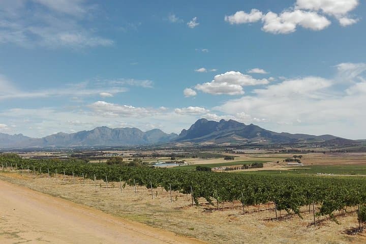 Greatest Wine Tour of the Cape Winelands — Stellenbosch Private Tasting Day photo 2